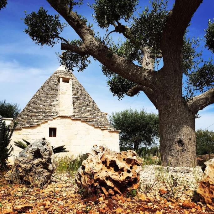 Villa Catia Альберобелло Экстерьер фото